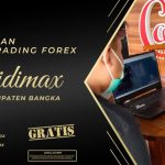 BIMBINGAN TRADING FOREX DI BANGKA