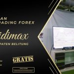 BIMBINGAN TRADING FOREX DI BELITUNG