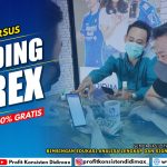 TEMPAT KURSUS TRADING FOREX DI KABUPATEN MERAUKE