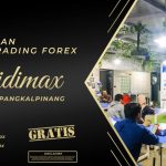 BIMBINGAN TRADING FOREX DI KOTA PANGKALPINANG