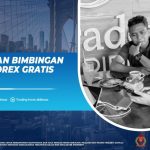 EDUKASI DAN BIMBINGAN TRADING FOREX GRATIS DI DIDIMAX!