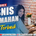 TRADING FOREX SEBAGAI BISNIS RUMAHAN