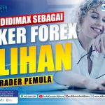 4 Alasan Didimax Sebagai Broker Forex Pilihan Trader Pemula
