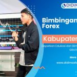 BIMBINGAN TRADING FOREX DI DEMAK