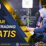 BELAJAR FOREX TRADING GRATIS DI KABUPATEN BIMA INDONESIA