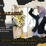 DIBULLY SIGNAL pas live trading…