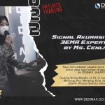 Signal Akurasi 90 3EMA Expert by Ms. Cenli